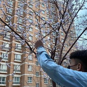 国外男女操逼视频
